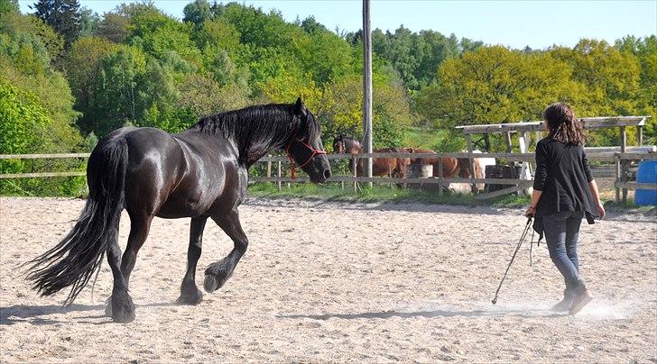 Frieser Kamma af Lysholm Solgt  - en opmærksom løslongering <3 [Minna] billede 15