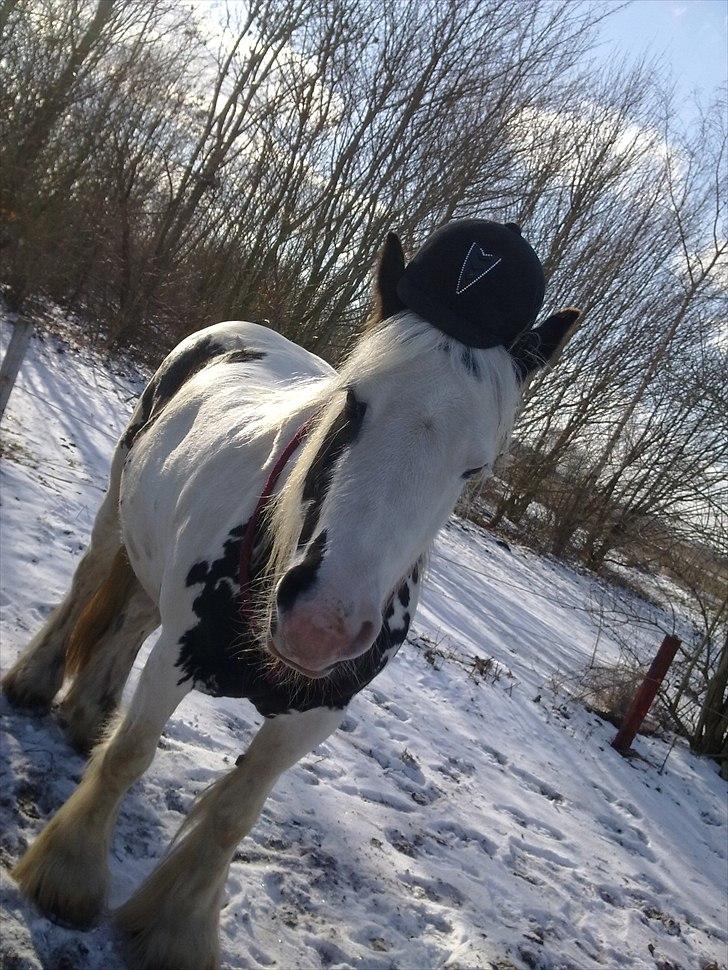 Tinker Nikitta <3 - Vi hygger os ;)
Elsker dig! <3 billede 7