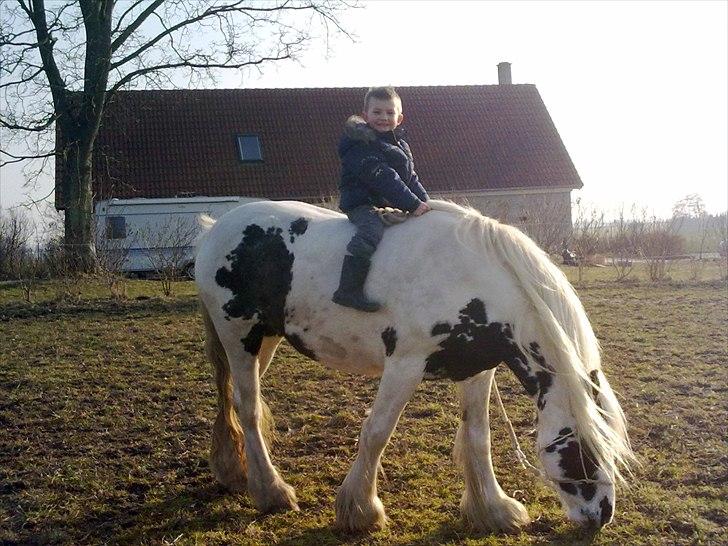 Tinker Nikitta <3 - Lille bror sidder på Nikitta<3
Elsker jer <3 billede 9