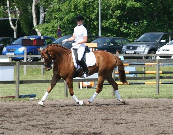 Hannoveraner Werber Welt..  billede 14