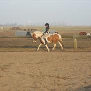 Anden særlig race pablo