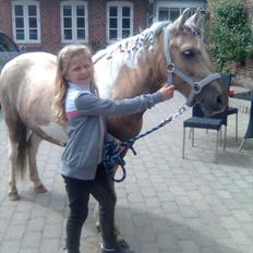 Anden særlig race Sofielunds Baloo                      (Søsters)