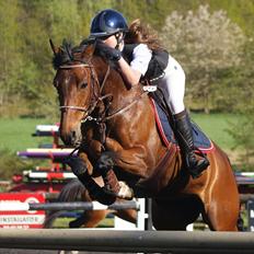 Tysk Sportspony Conchitta<3