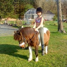 Anden særlig race Bubber R.i.P :'(