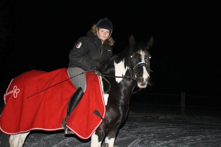Anden særlig race Lady Di billede 13