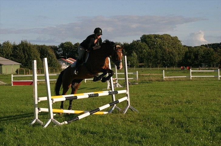 DSP Flicka -solgt- billede 20