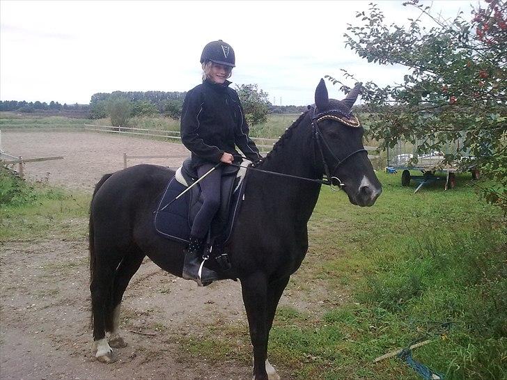 Anden særlig race Leika billede 13