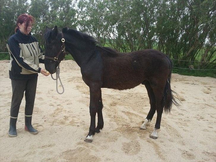 Oldenborg Viktor billede 1