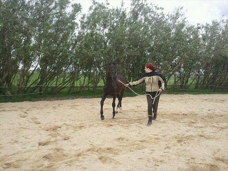 Oldenborg Viktor billede 3