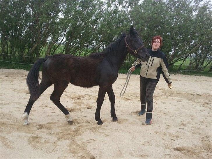 Oldenborg Viktor billede 6