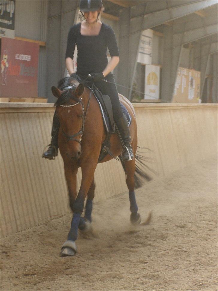 Anden særlig race Ronja  billede 8