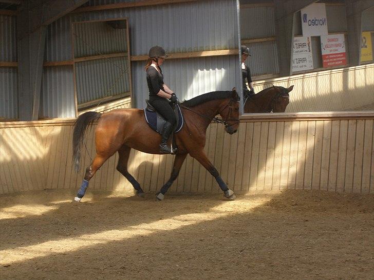 Anden særlig race Ronja  billede 9