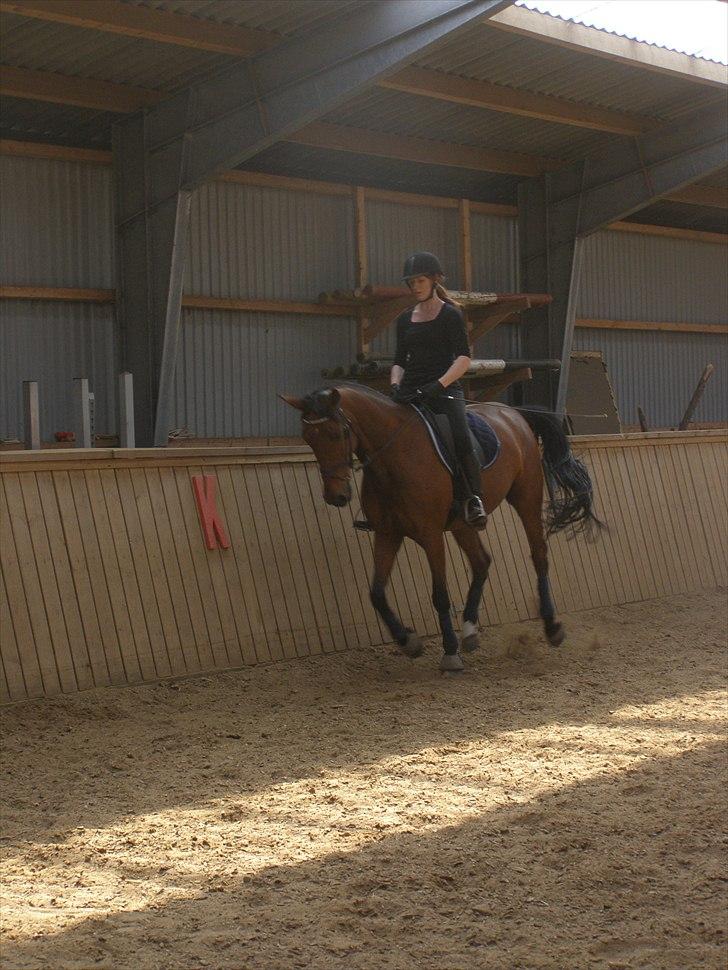 Anden særlig race Ronja  billede 10