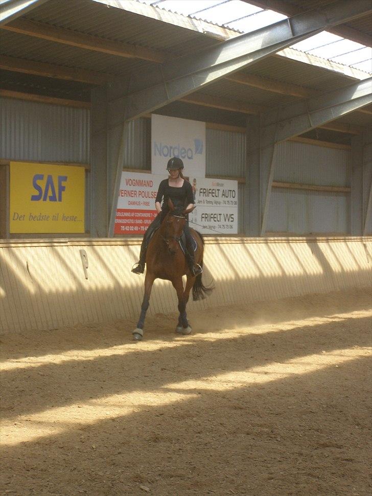 Anden særlig race Ronja  billede 11