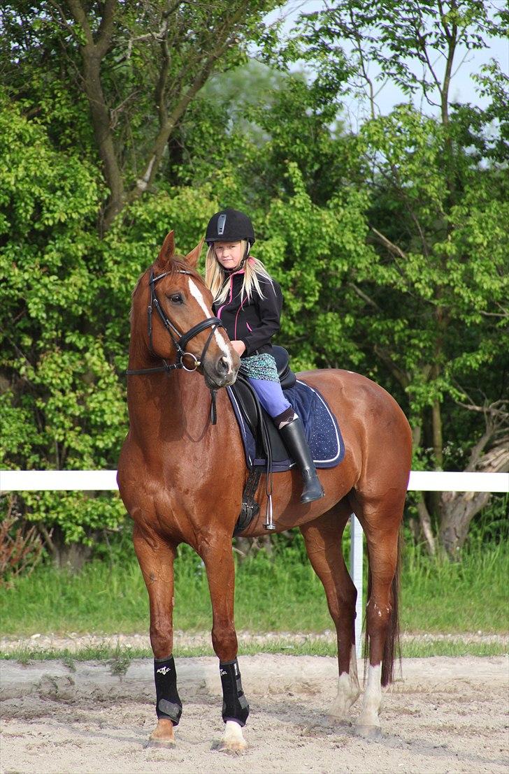 Tysk Varmblod Rissa Veil - Min lillesøster, Laura på 8 år, får en tur på Rissa :-) Laura er helt tryg ved at ride rundt på Rissa selv - på trods af den bemærkelsesværdige størrelsesforskel ;-) billede 20