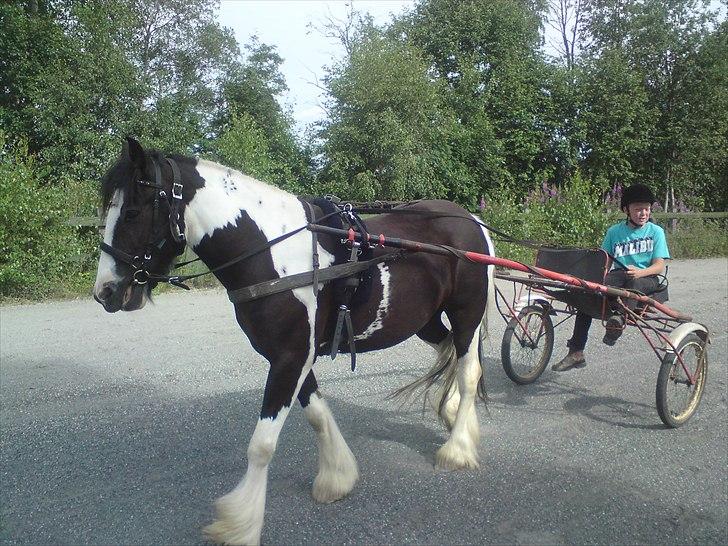 Tinker Louise SOLGT billede 11