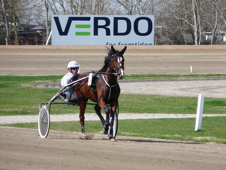 Traver Mega Vang billede 1