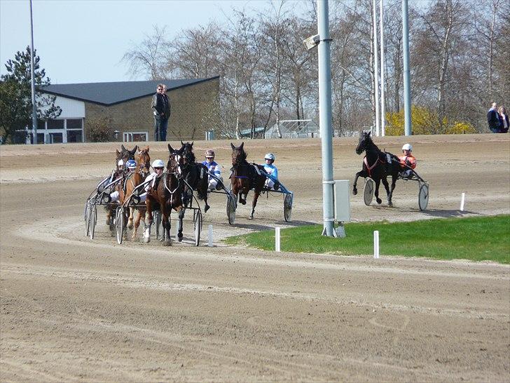 Traver Mega Vang billede 2