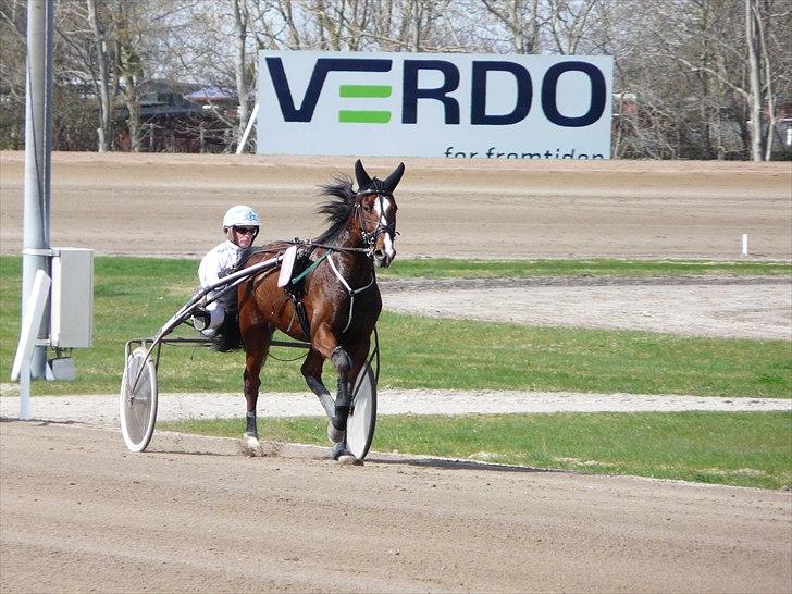 Traver Mega Vang billede 3