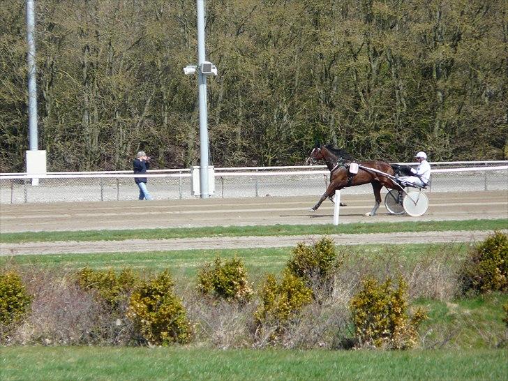 Traver Mega Vang billede 4