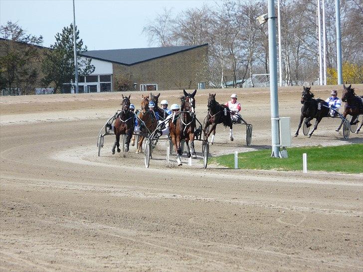 Traver Mega Vang billede 5