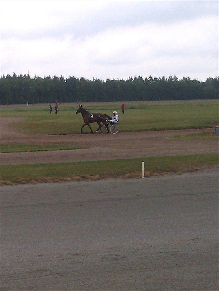 Traver Mega Vang billede 9