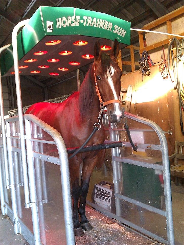 Traver Mega Vang billede 12