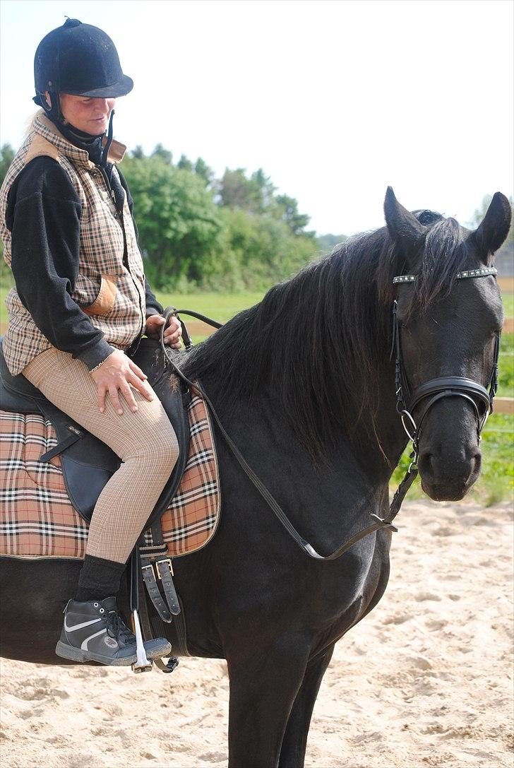 Frieser Antsje van de Martini - Gensidig kærlighed - hele familens baby;-) billede 20