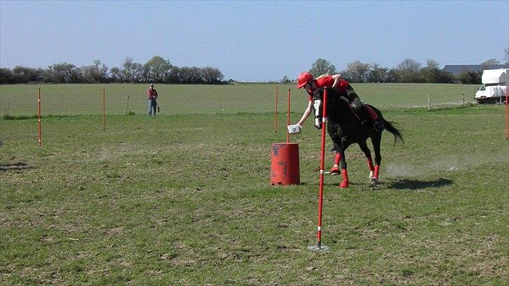 DSP Fredbo´s Image - Vores første stævne - maj/april 2011 billede 22