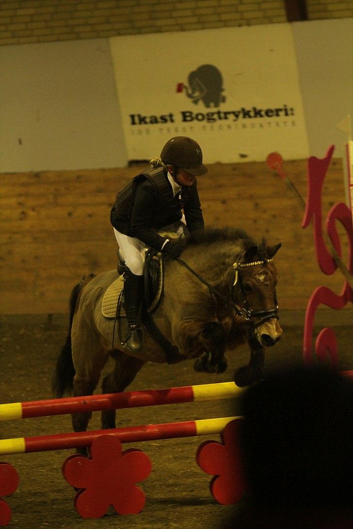 New Forest Knud den store billede 3