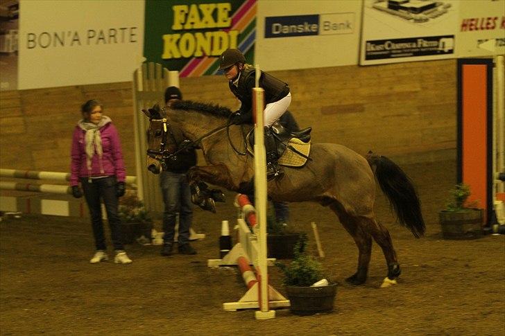 New Forest Knud den store billede 4