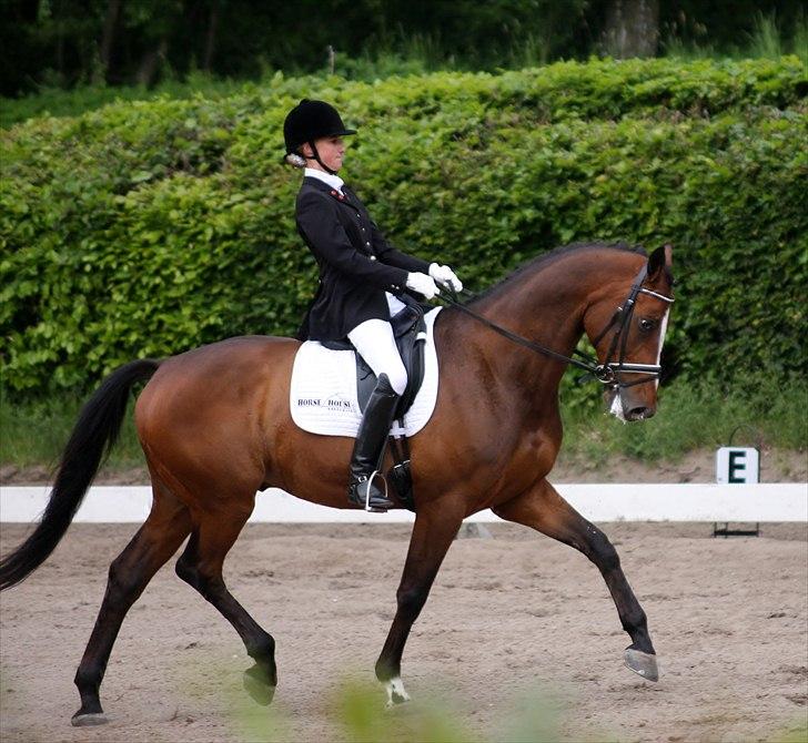 Dansk Varmblod May Candeloro - Stævne HRK maj 2011 billede 15