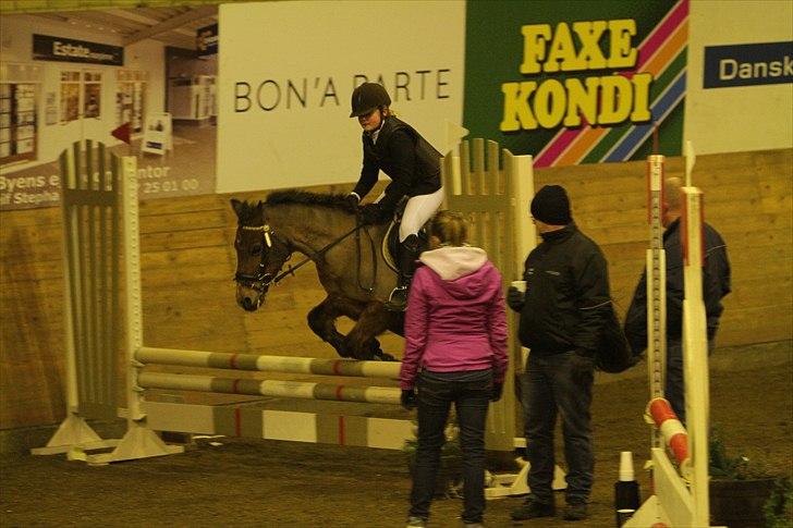 New Forest Knud den store billede 5