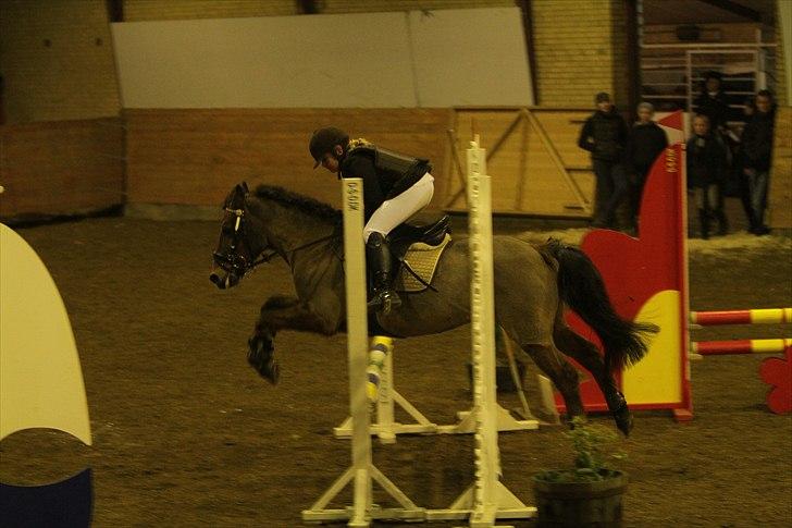 New Forest Knud den store billede 6