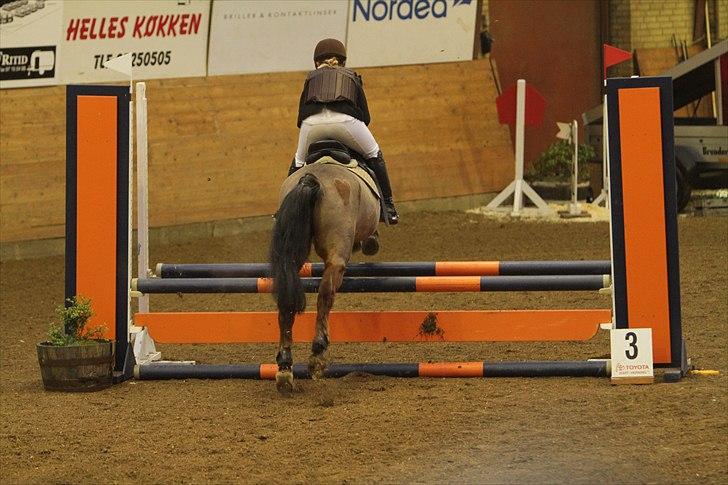 New Forest Knud den store billede 7