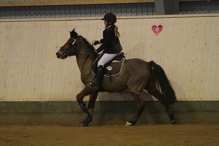 New Forest Knud den store billede 8