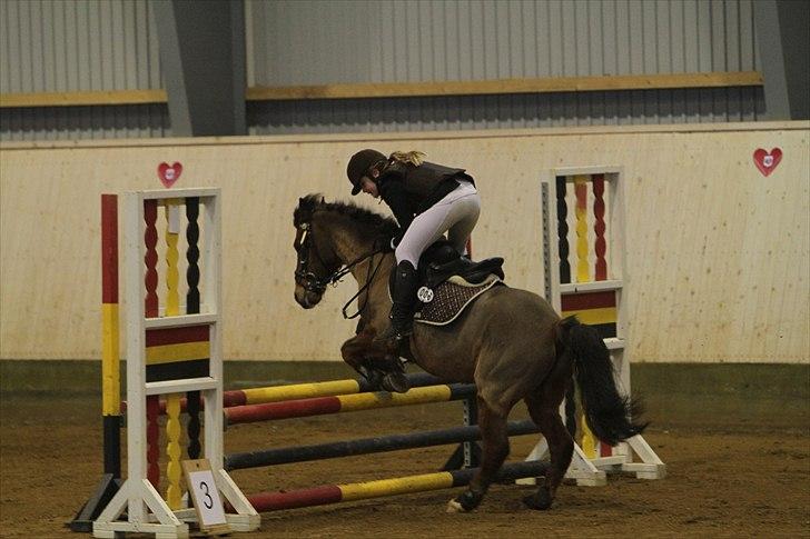 New Forest Knud den store billede 9