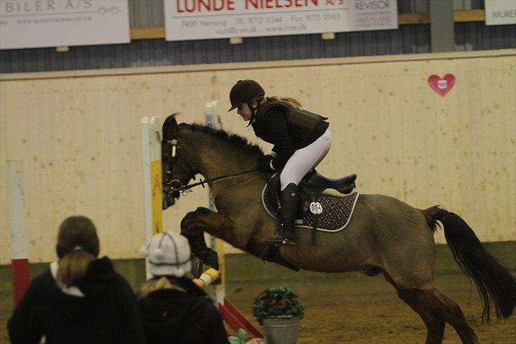 New Forest Knud den store billede 10