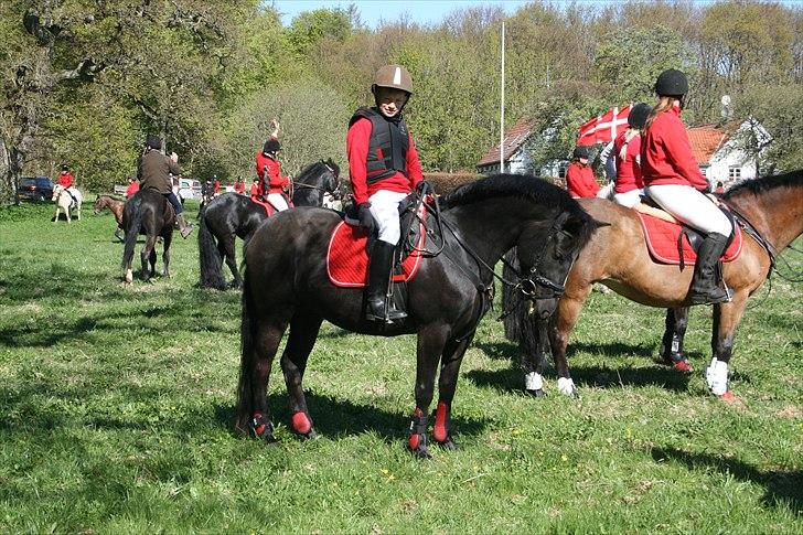 New Forest Lundemarksg. Vild Kamille - 2011, Kamille og min første jagt...det bliver ikke den sidste!!! billede 10