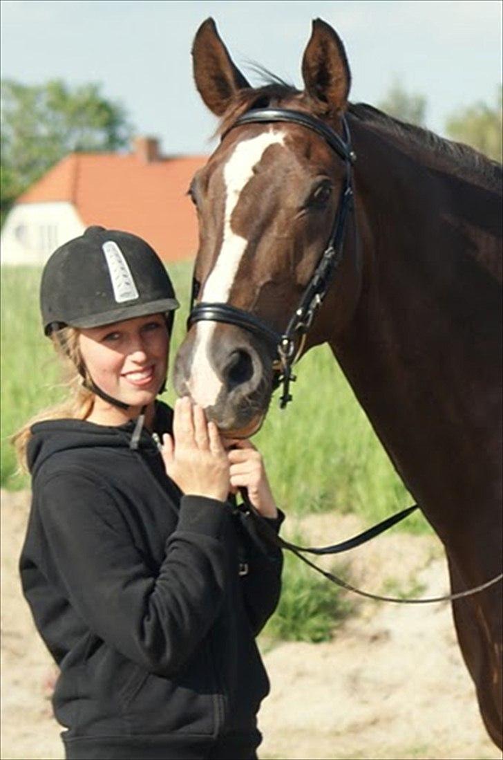 Dansk Varmblod Chouette Des Plaisir - Du aner ikke hvor meget du betyder <3 billede 11
