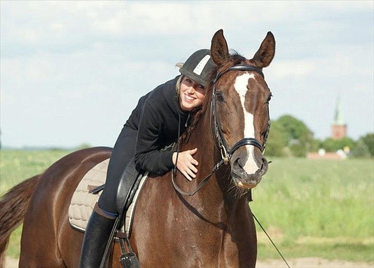 Dansk Varmblod Chouette Des Plaisir - Du er noget hest specielt!<3 billede 12