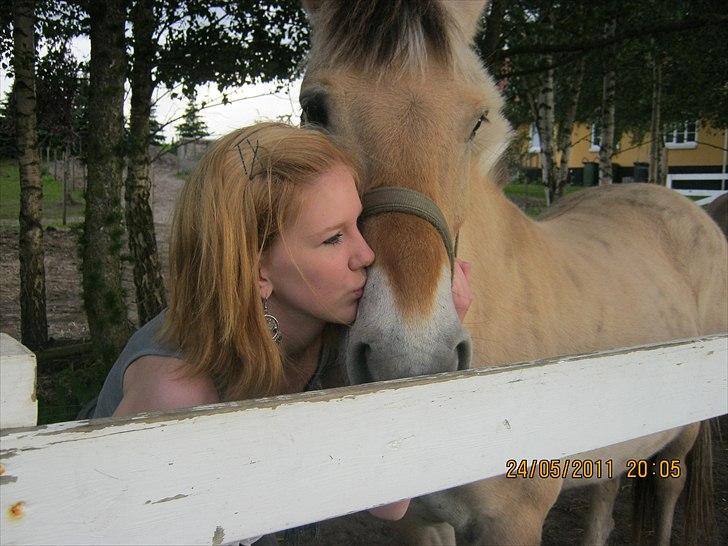 Fjordhest Lukas - Møs!<3 billede 2