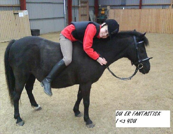 DSP Lisse <3  - you are my one<3 billede 14