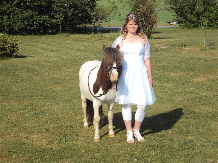 Shetlænder Prins Ludwig - Mig og ludwig til min konfirmation billede 15