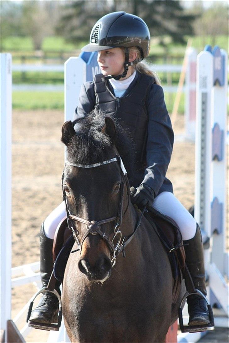 New Forest Eskehøjgaards Rumle - Mit første stævne på Rumle- Helsinge Rideklub i påsken 2011 hvor vi rider LC LB billede 7