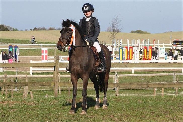 New Forest Eskehøjgaards Rumle - Mit første stævne på Rumle- Helsinge Rideklub i påsken 2011 hvor vi rider LC LB billede 8