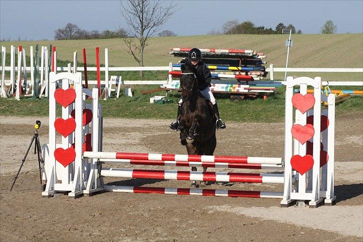 New Forest Eskehøjgaards Rumle - Helsinge vores første tur sammen billede 11