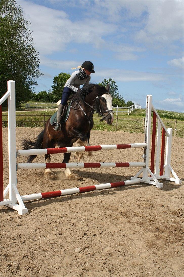 Tinker Akillieus/Jarjar - 25-maj billede 5