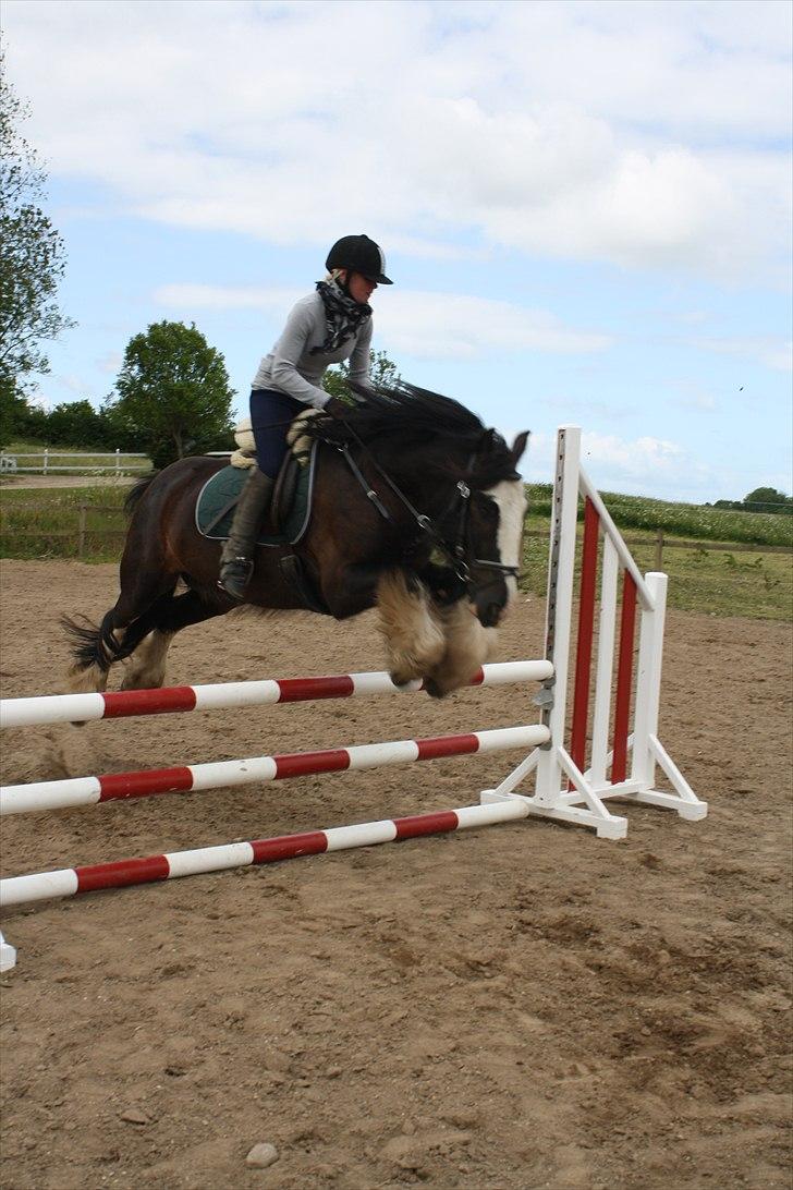 Tinker Akillieus/Jarjar - 25-maj billede 7