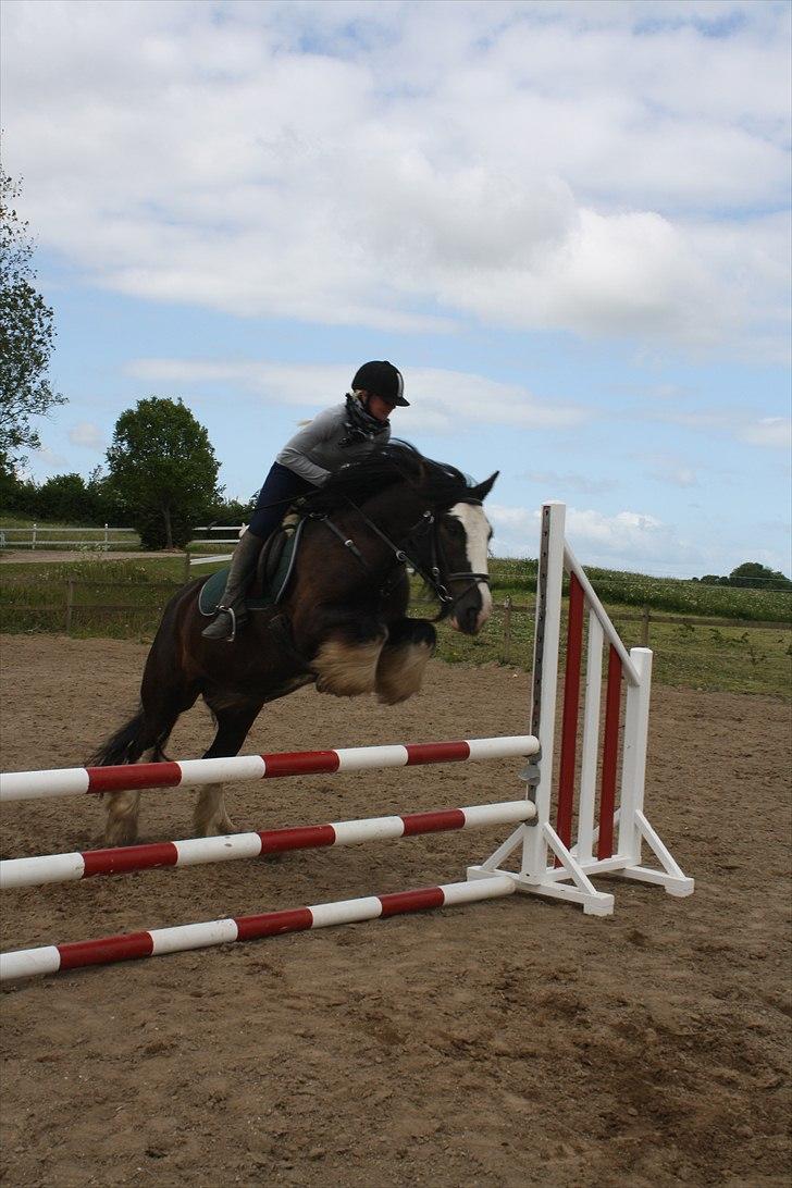 Tinker Akillieus/Jarjar - 25-maj billede 8